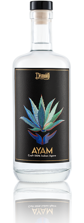 Experiences Winery - GrapeLand template